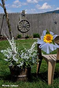 Country_Hearts_Barn_PA0001.jpg